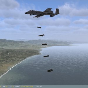 rip1