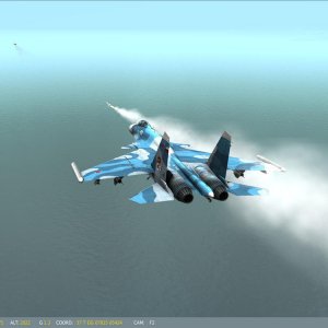P11 F5EKill