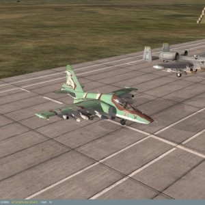 Back home after sortie