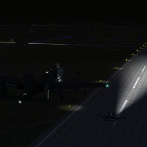 Busy Arrival