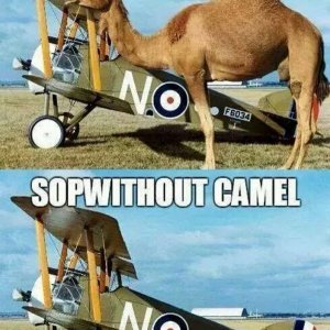 Sopwith Sopwithout