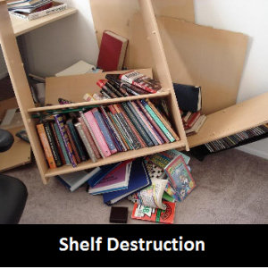 ShelfDestruction