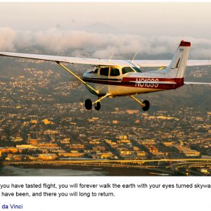 Once you have tasted flight...
