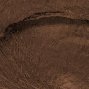 venus4