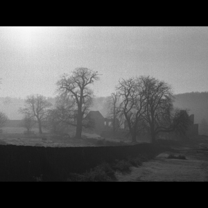 bradgate 04