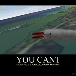 84955097