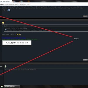 forum glitch