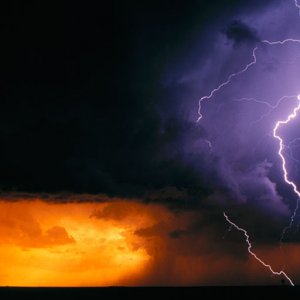 This was the Bing Homepage pic one day so I did copy, save to my pictures