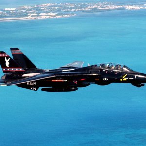 F-14 Tomcat