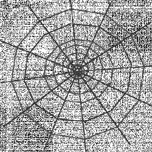 halloween spider web transparent