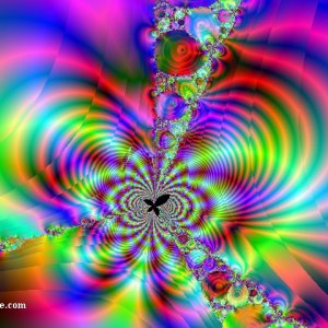 Butterfly Wing Chaotic Magnetic Field 267