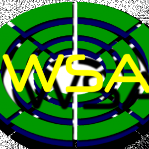 WSA logo