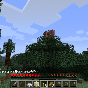 Pigs obviously can fly.