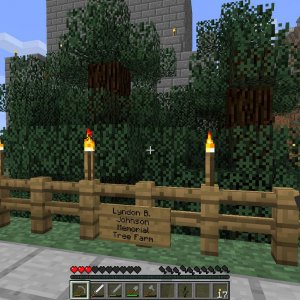 Tree Farm