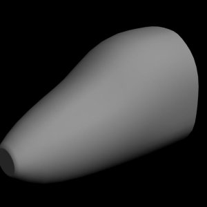 Cygnus Nose