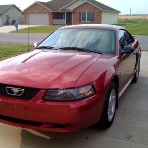 Mustang