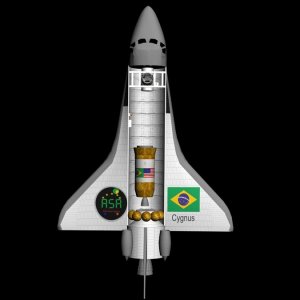 Cygnus Decals