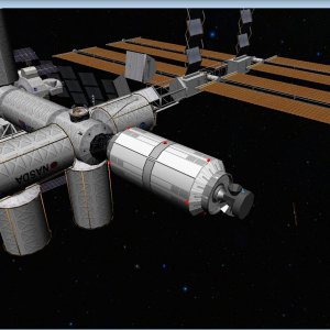 IMS bug 1