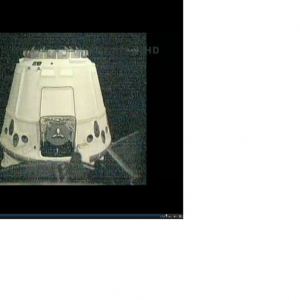 dragon5