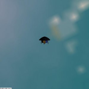 GL175Bb Probe Deployed