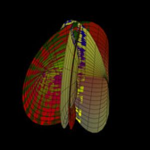SCRN 3