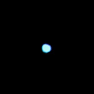 The VEGA star