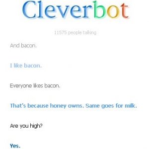 Cleverbot high
