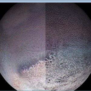Triton Side by Side 01