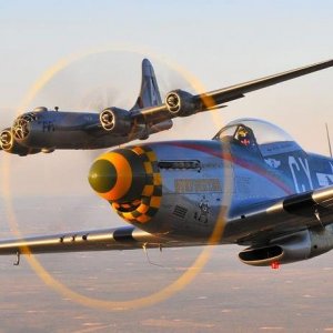 Mustang and ma' favorite 29
